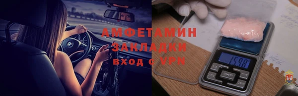 PSILOCYBIN Алзамай