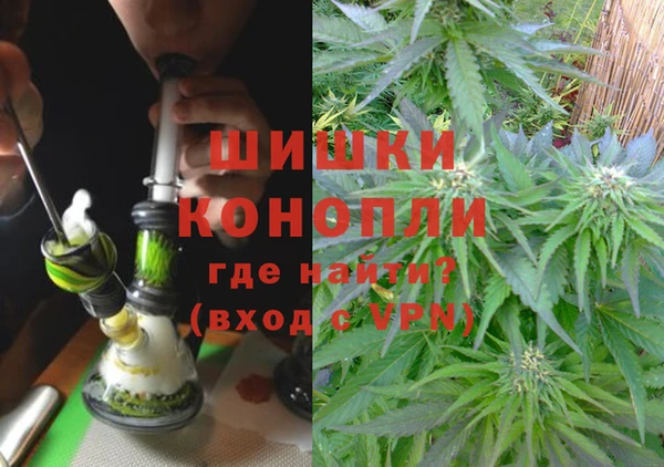 PSILOCYBIN Алзамай