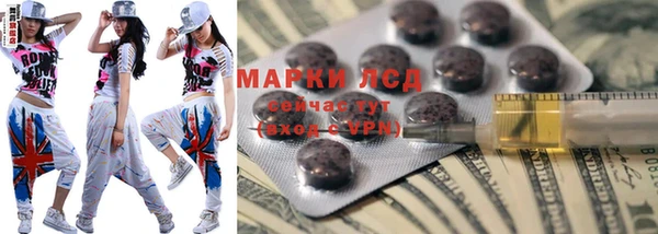 PSILOCYBIN Алзамай
