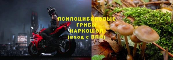 дурь Алексин