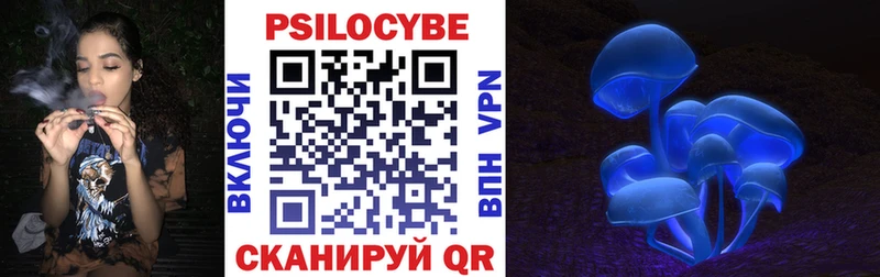 продажа наркотиков  Пошехонье  Галлюциногенные грибы Cubensis 