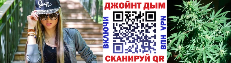 закладки  Пошехонье  Бошки марихуана тримм 